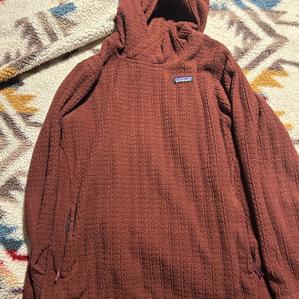 Patagonia Burnt Orange Hooded Pullover